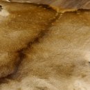 Damhirsch Fell Hirschfell Vorleger Teppich Deko Länge 140 cm 87.3.25
