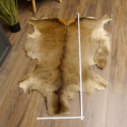 Damhirsch Fell Hirschfell Vorleger Teppich Deko Länge 140 cm 87.3.25