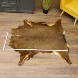 Damhirsch Fell Hirschfell Vorleger Teppich Deko Länge 117 cm 87.3.26