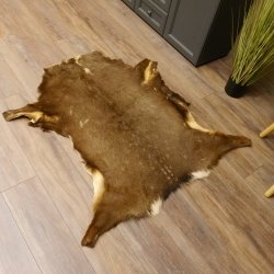 Damhirsch Fell Hirschfell Vorleger Teppich Deko Länge 117 cm 87.3.26