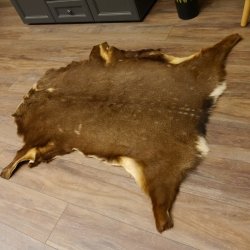 Damhirsch Fell Hirschfell Vorleger Teppich Deko Länge 117 cm 87.3.26