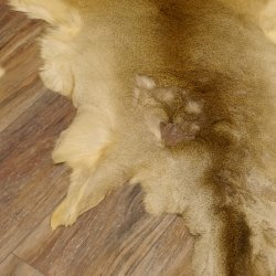 Rehfell 4 Stück Felle Winter Reh Fell Hirschfell Vorleger Teppich Deko