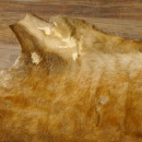 Damhirsch Fell Hirschfell Vorleger Teppich Deko Länge 164 cm 87.3.29