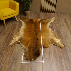 Damhirsch Fell Hirschfell Vorleger Teppich Deko Länge 164 cm 87.3.29