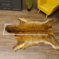 Damhirsch Fell Hirschfell Vorleger Teppich Deko Länge 164 cm 87.3.29