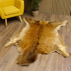 Damhirsch Fell Hirschfell Vorleger Teppich Deko Länge 164 cm 87.3.29