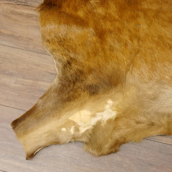 Damhirsch Fell Hirschfell Vorleger Teppich Deko Länge 164 cm 87.3.29
