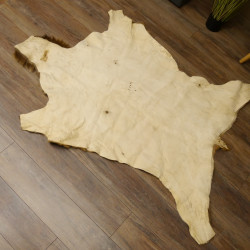 Damhirsch Fell Hirschfell Vorleger Teppich Deko Länge 164 cm 87.3.29