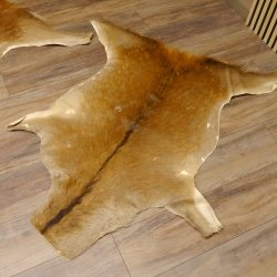 Damhirsch 2 Stück Felle Fell Hirschfell Vorleger Teppich Deko Länge 107-120 cm 87.3.30