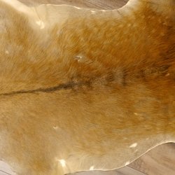 Damhirsch 2 Stück Felle Fell Hirschfell Vorleger Teppich Deko Länge 107-120 cm 87.3.30