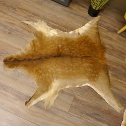 Damhirsch 2 Stück Felle Fell Hirschfell Vorleger Teppich Deko Länge 107-120 cm 87.3.30