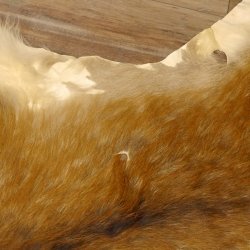 Damhirsch 2 Stück Felle Fell Hirschfell Vorleger Teppich Deko Länge 107-120 cm 87.3.30