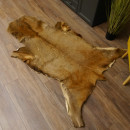 Rothirsch Fell Länge 185 cm Hirsch Hirschfell Vorleger Deko 87.3.33