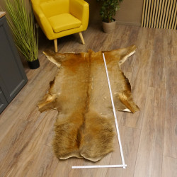 Rothirsch Fell Länge 185 cm Hirsch Hirschfell Vorleger Deko 87.3.33