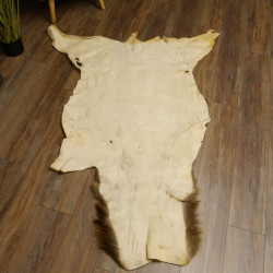 Rothirsch Fell Länge 185 cm Hirsch Hirschfell Vorleger Deko 87.3.33