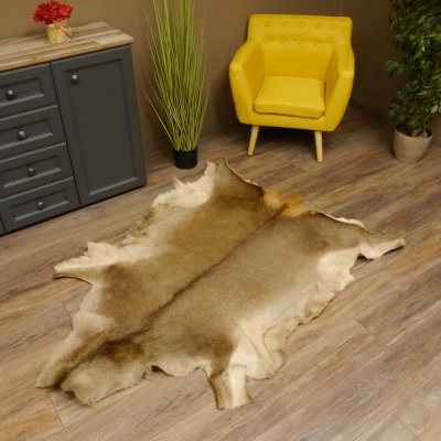 Rothirsch Fell Länge 164 cm Hirsch Hirschfell Vorleger Deko 87.3.36