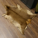 Rothirsch Fell Länge 164 cm Hirsch Hirschfell Vorleger Deko 87.3.36