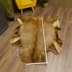 Rothirsch Fell Länge 157 cm Hirsch Hirschfell Vorleger Deko 87.3.37