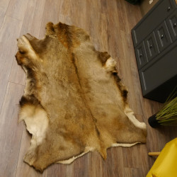 Rothirsch Fell Länge 157 cm Hirsch Hirschfell Vorleger Deko 87.3.37
