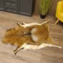 Mufflon Fell Vorleger Länge 123 cm männlich B...