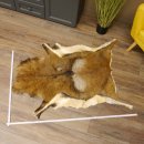 Mufflon Fell Vorleger Länge 123 cm männlich B...