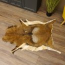 Mufflon Fell Vorleger Länge 123 cm männlich B Ware 87.17.9