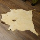 Mufflon Fell Vorleger Länge 123 cm männlich B Ware 87.17.9