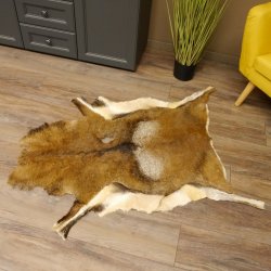 Mufflon Fell Vorleger Länge 123 cm männlich B Ware 87.17.9