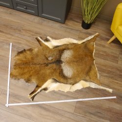 Mufflon Fell Vorleger Länge 123 cm männlich B Ware 87.17.9