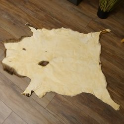 Mufflon Fell Vorleger Länge 123 cm männlich B Ware 87.17.9