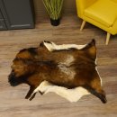 Mufflon Fell Vorleger Länge 107 cm männlich B...