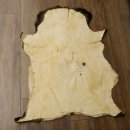 Mufflon Fell Vorleger Länge 107 cm männlich B Ware 87.17.10