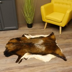 Mufflon Fell Vorleger Länge 107 cm männlich B Ware 87.17.10