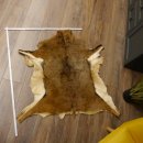 Mufflon Fell Vorleger Länge 90 cm weiblich B Ware 87.17.11