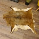 Mufflon Fell Vorleger Länge 90 cm weiblich B Ware 87.17.11