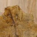 Mufflon Fell Vorleger Länge 90 cm weiblich B Ware 87.17.11