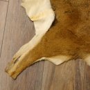 Mufflon Fell Vorleger Länge 90 cm weiblich B Ware 87.17.11