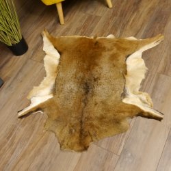 Mufflon Fell Vorleger Länge 90 cm weiblich B Ware 87.17.11