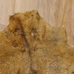 Mufflon Fell Vorleger Länge 90 cm weiblich B Ware 87.17.11