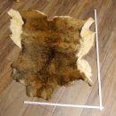 Mufflon Fell Vorleger Länge 90 cm weiblich B Ware 87.17.12