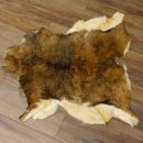 Mufflon Fell Vorleger Länge 90 cm weiblich B Ware 87.17.12