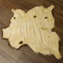 Mufflon Fell Vorleger Länge 90 cm weiblich B Ware 87.17.12