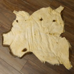 Mufflon Fell Vorleger Länge 90 cm weiblich B Ware 87.17.12