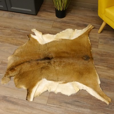 Mufflon Fell Vorleger Länge 104 cm weiblich B Ware 87.17.13