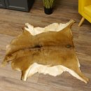 Mufflon Fell Vorleger Länge 104 cm weiblich B Ware...