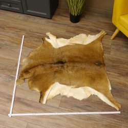 Mufflon Fell Vorleger Länge 104 cm weiblich B Ware 87.17.13