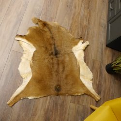 Mufflon Fell Vorleger Länge 104 cm weiblich B Ware 87.17.13