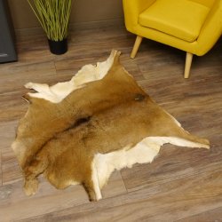 Mufflon Fell Vorleger Länge 104 cm weiblich B Ware 87.17.13