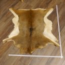 Mufflon Fell Vorleger Länge 94 cm weiblich B Ware 87.17.14