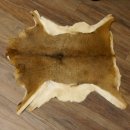 Mufflon Fell Vorleger Länge 94 cm weiblich B Ware 87.17.14